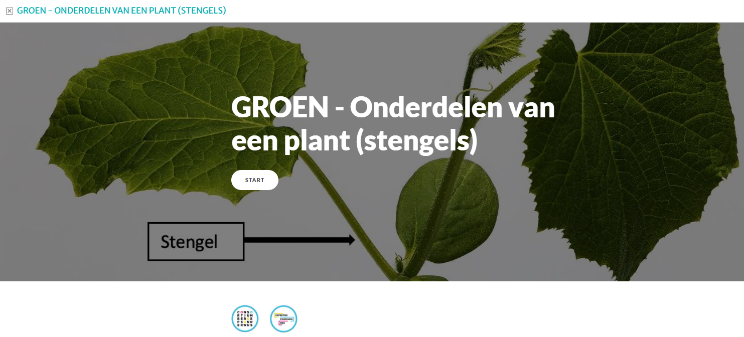 GROEN - Onderdelen van een plant (stengels)